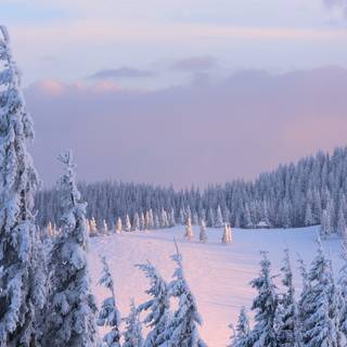 Aesthetic winter 2k wallpaper