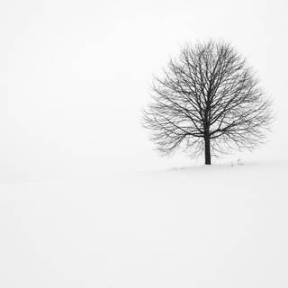 Minimalist winter desktop wallpaper