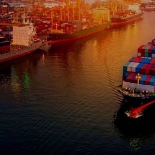 Export-import wallpaper