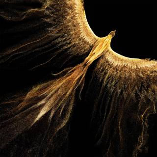 Honor Magic VS wallpaper