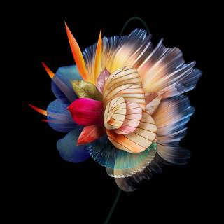 Honor Magic VS wallpaper