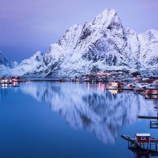 Norway winter forest wallpaper