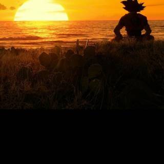 Goku sunset wallpaper
