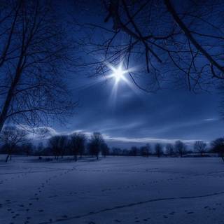 Christmas winter night wallpaper