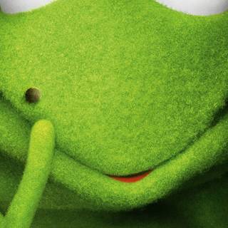 Muppets Most Wanted wallpaper