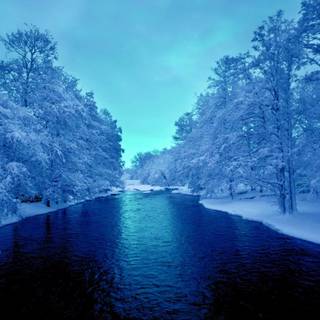 Blue winter snow wallpaper