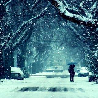 Snow falling winter scenes wallpaper