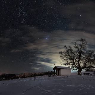 Winter forest desktop stars wallpaper