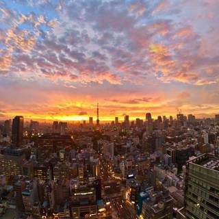 Tokyo sunset wallpaper