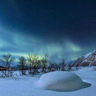 Winter desktop lights wallpaper