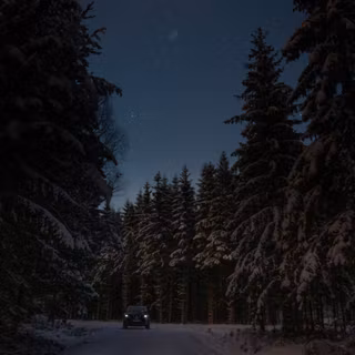 Dark winter mobile wallpaper