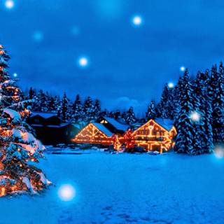 Blue Christmas tree light wallpaper