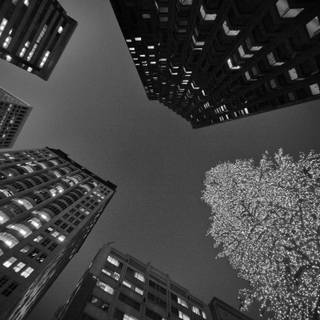 Monochrome Christmas wallpaper