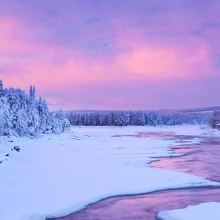 Purple winter sunset wallpaper