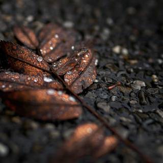 Tecno Spark wallpaper