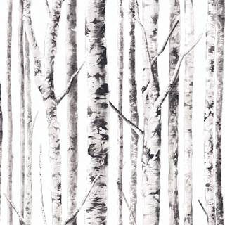 Birch forest wallpaper