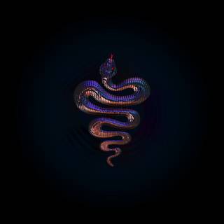 Snake drawing wallpaper