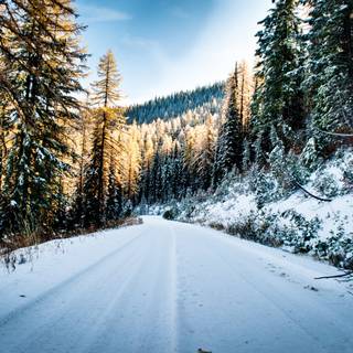 Winter landscape road wallpaper