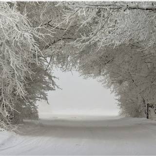 Winter landscape road wallpaper