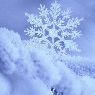 Winter snow flakes wallpaper
