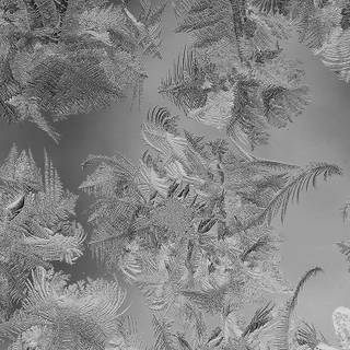 iPhone winter Christmas wallpaper