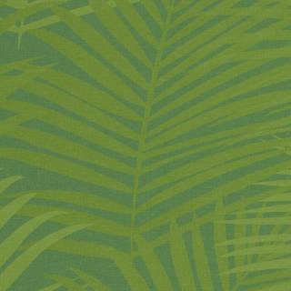 iPhone 1 to iPhone 14 wallpaper