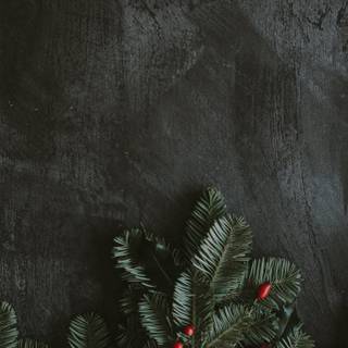Green and black Christmas wallpaper