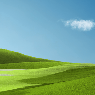 Green morning aesthetic wallpaper