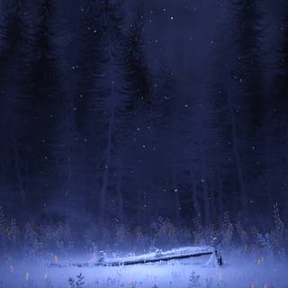 Winter night forest anime wallpaper