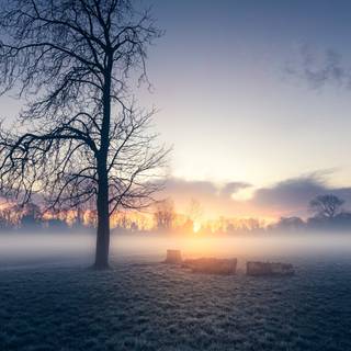 Early winter sunset wallpaper