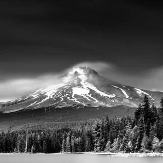 Dark winter iPhone X wallpaper