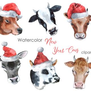 Christmas cows wallpaper