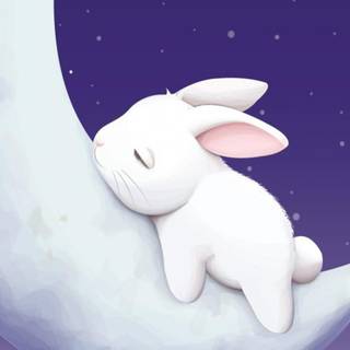 Purple bunny wallpaper