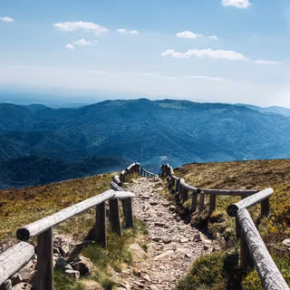 Mountain path wallpaper