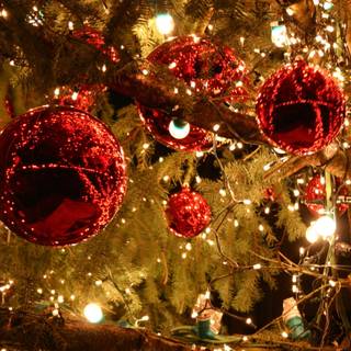 Christmas decors lights wallpaper