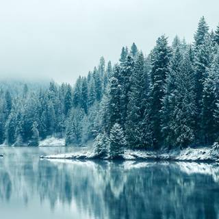 2160x1440 winter wallpaper