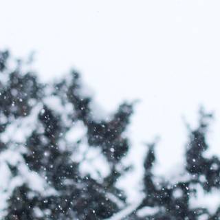 January 2023 calendar wallpaper