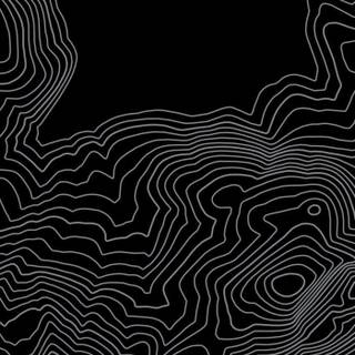 Topographic white wallpaper