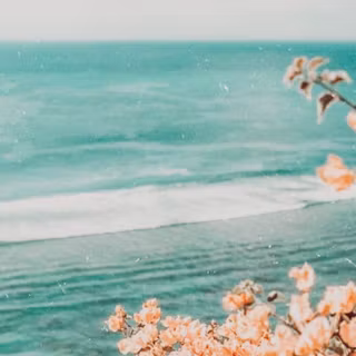 Beach boho wallpaper