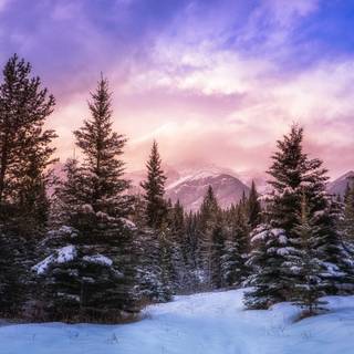 Canadian winter landscape wallpaper