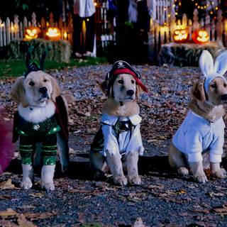 Spooky Buddies wallpaper