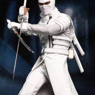 Cobra Commander and Storm Shadow wallpaper