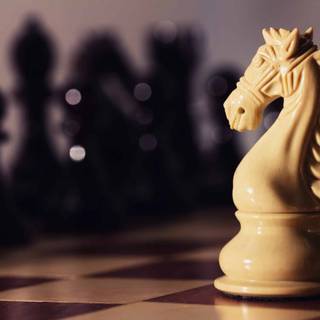Golden chess horse wallpaper