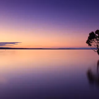 Stillness wallpaper
