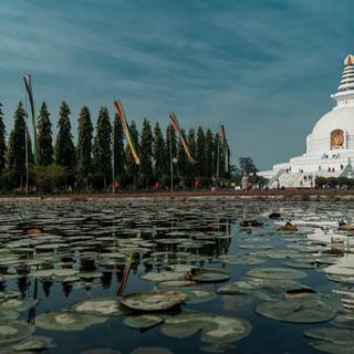 Lumbini wallpaper