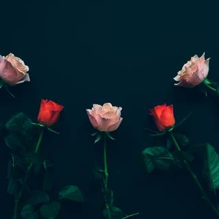 Spring dark pink and red wallpaper