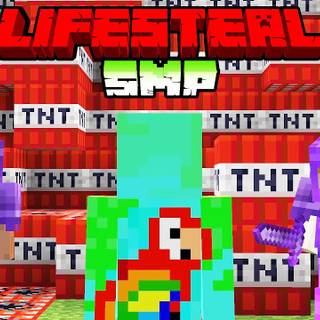 Minecraft Lifesteal SMP wallpaper