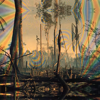 Trippy trees wallpaper