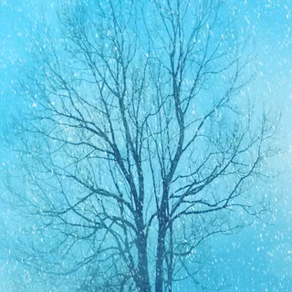 Winter 828x1792 wallpaper