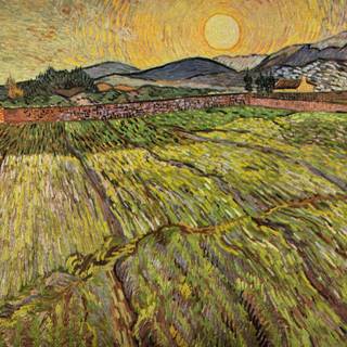 Vincent Willem van Gogh wallpaper